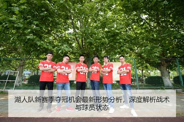 湖人队新赛季夺冠机会最新形势分析，深度解析战术与球员状态