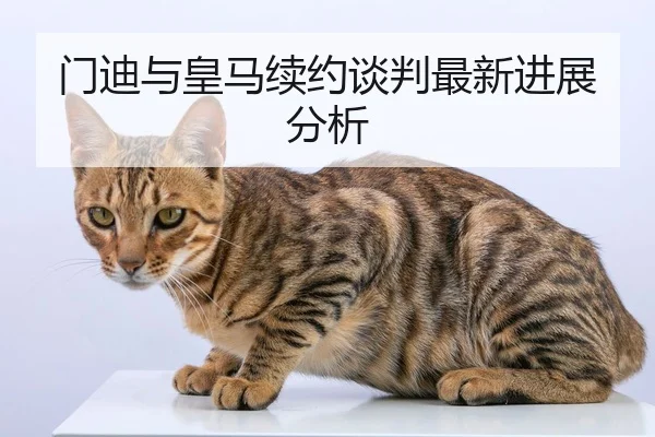 门迪与皇马续约谈判最新进展分析